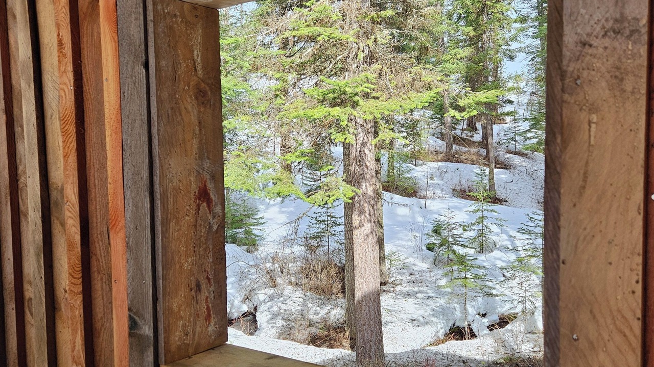 Photo of Outdoor in New Meadows