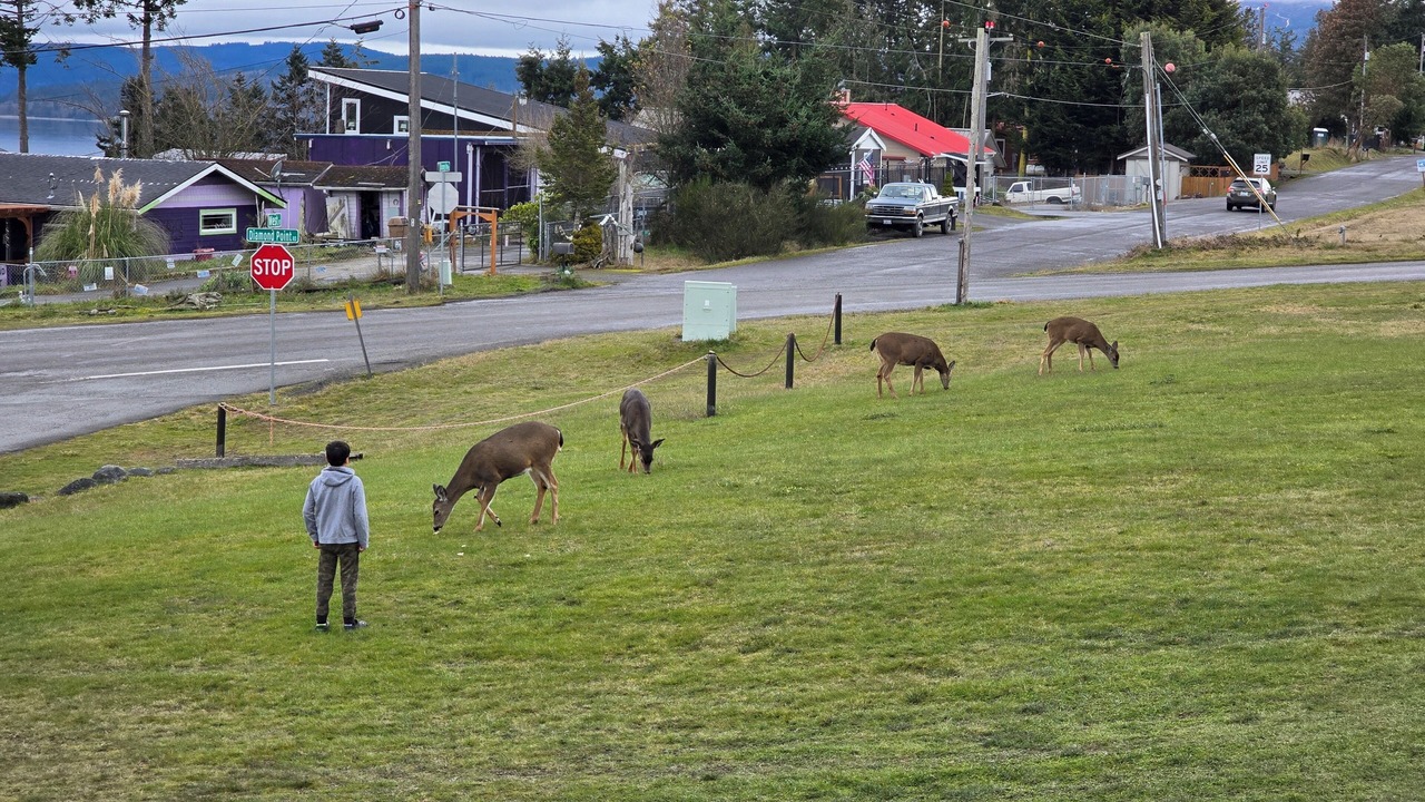 Photo of Others in Diamond Point