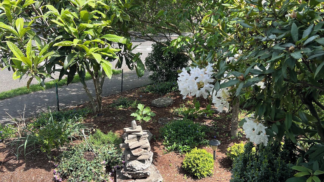 Photo of Outdoor in Columbia City