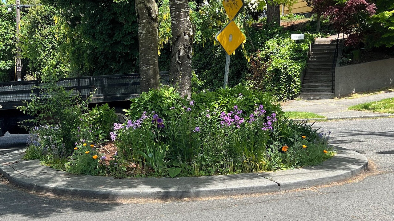 Photo of Outdoor in Columbia City