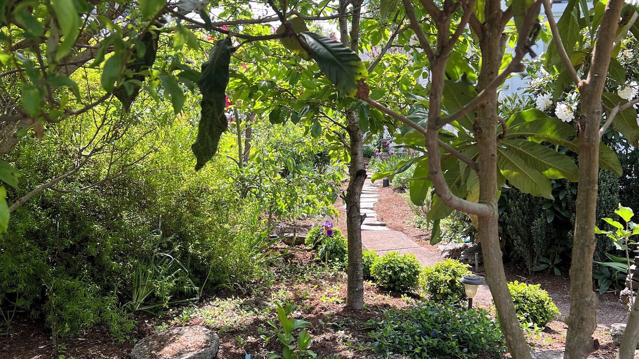 Photo of Outdoor in Columbia City