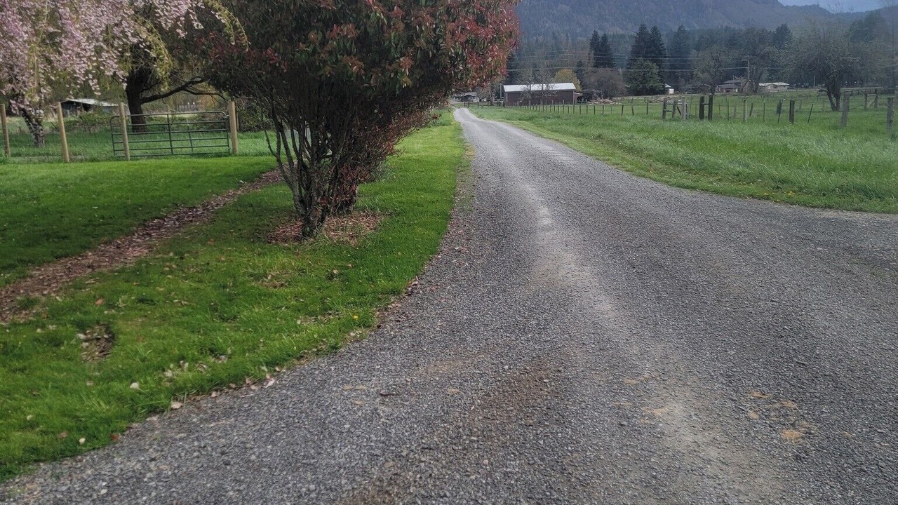 Photo of Others in Lewis County
