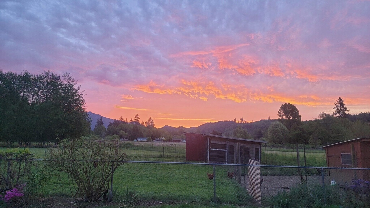 Photo of Outdoor in Lewis County