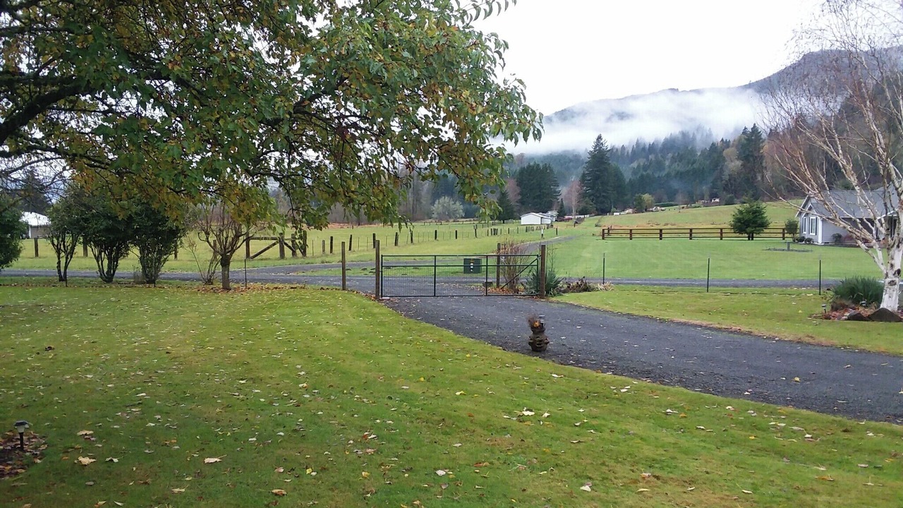 Photo of Others in Lewis County