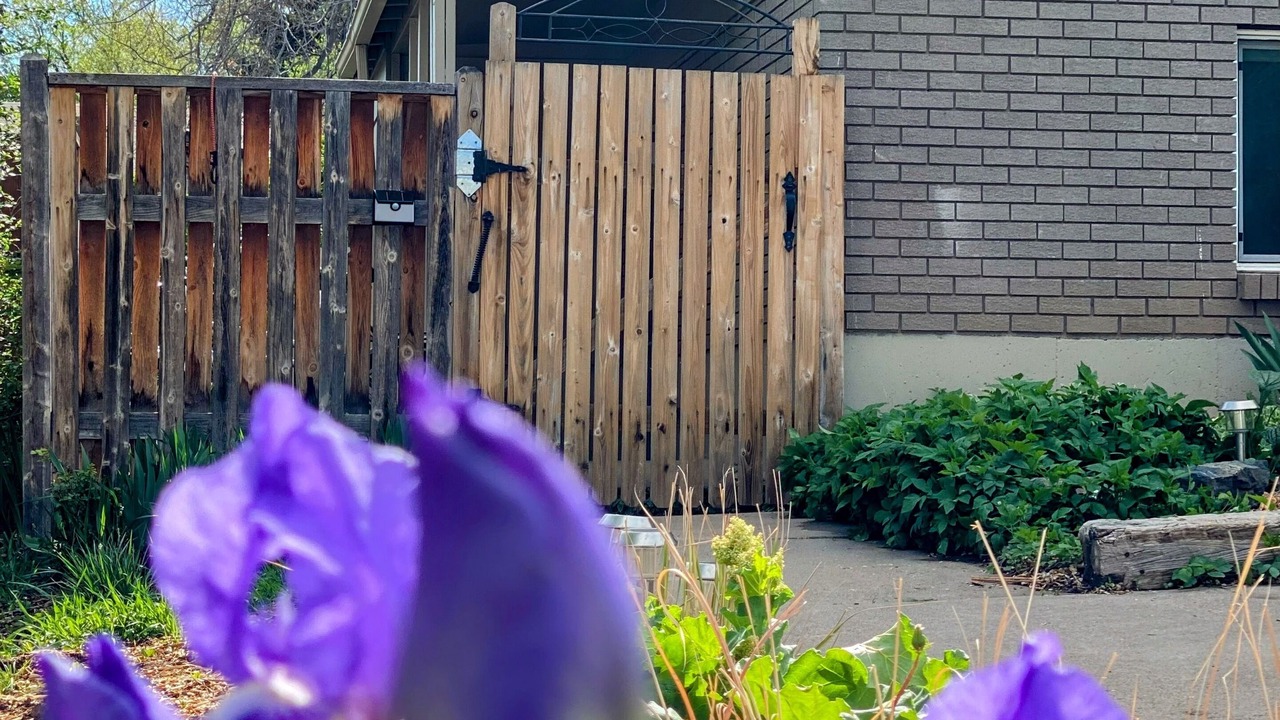 Photo of Outdoor in Fort Collins
