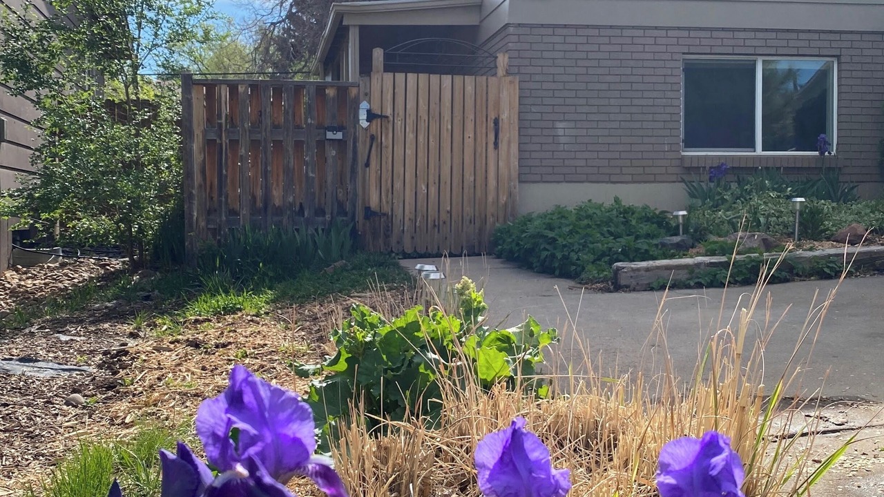 Photo of Outdoor in Fort Collins