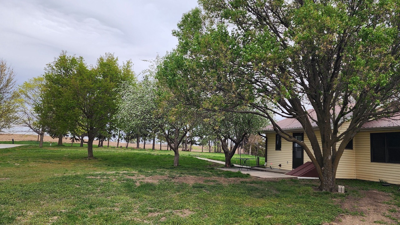 Photo of Outdoor in Holmesville