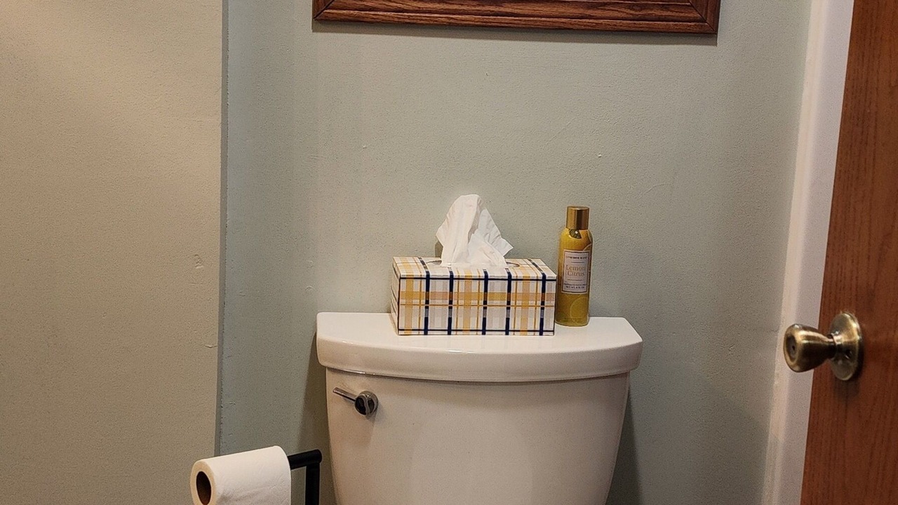Photo of Bathroom in Holmesville