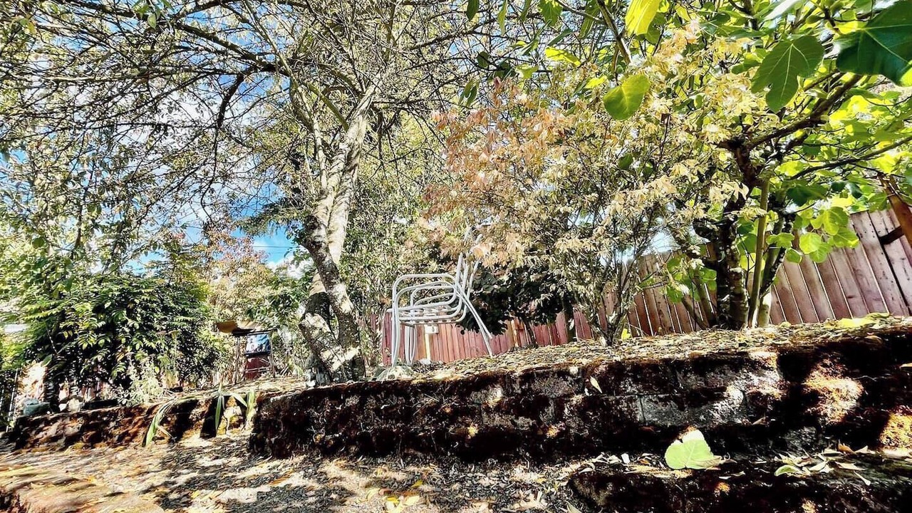 Photo of Outdoor in Pinehurst