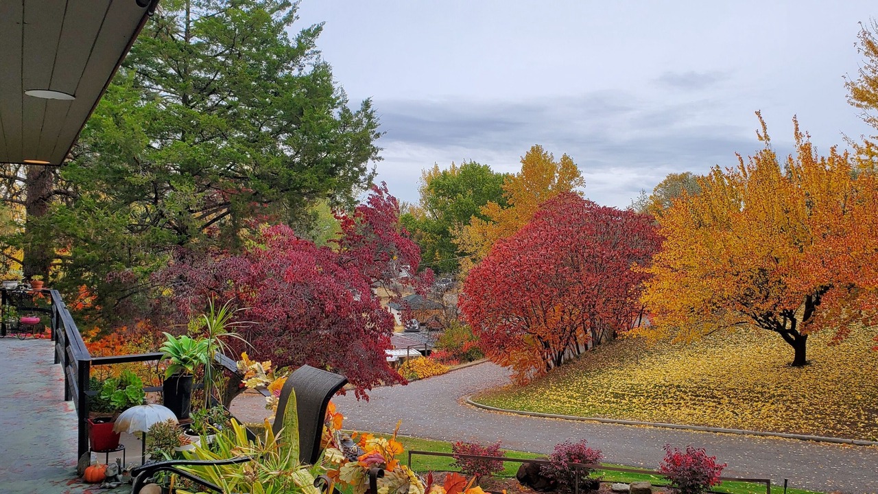 Photo of Outdoor in Payette