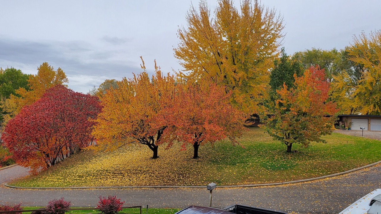 Photo of Others in Payette