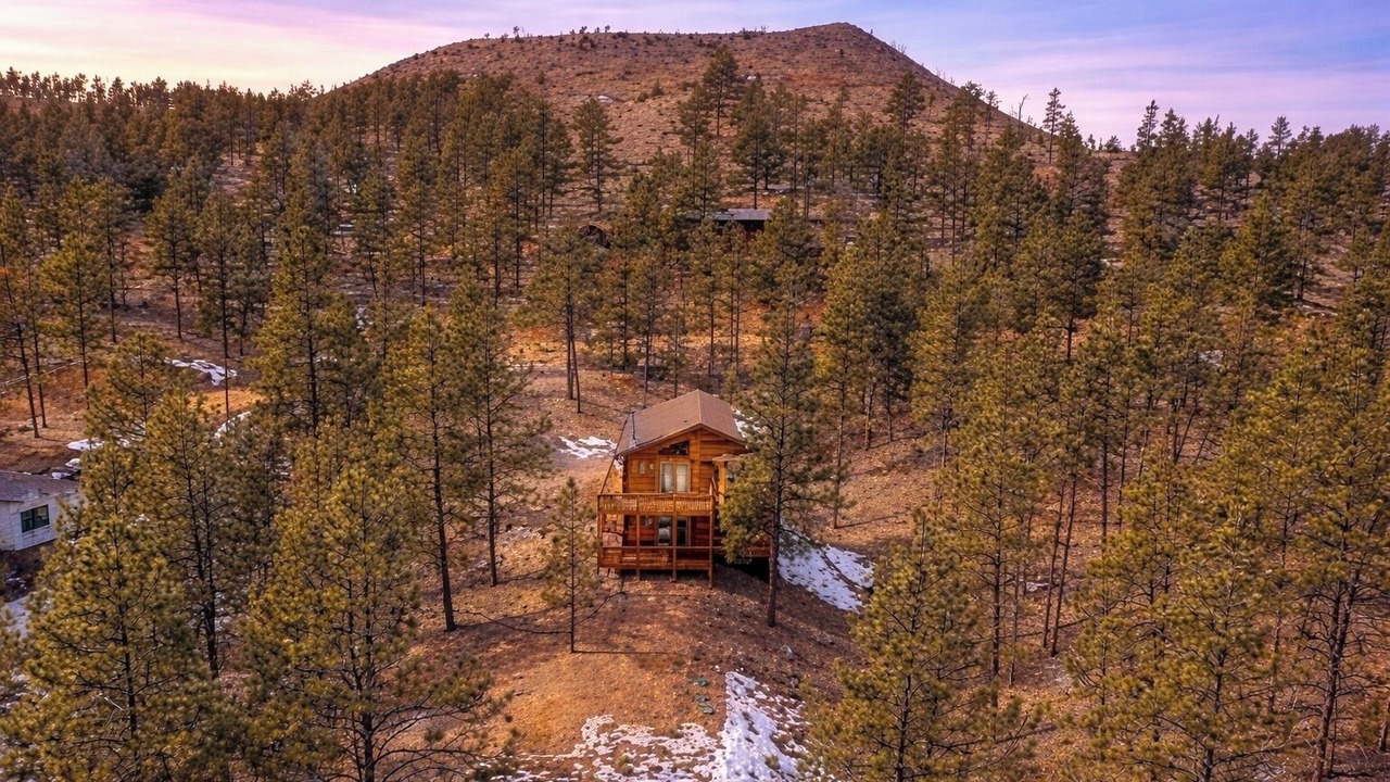 Photo of Outdoor in Pine