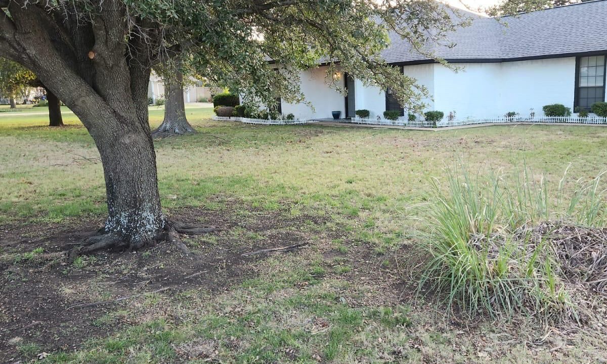 Photo of Outdoor in McKinney