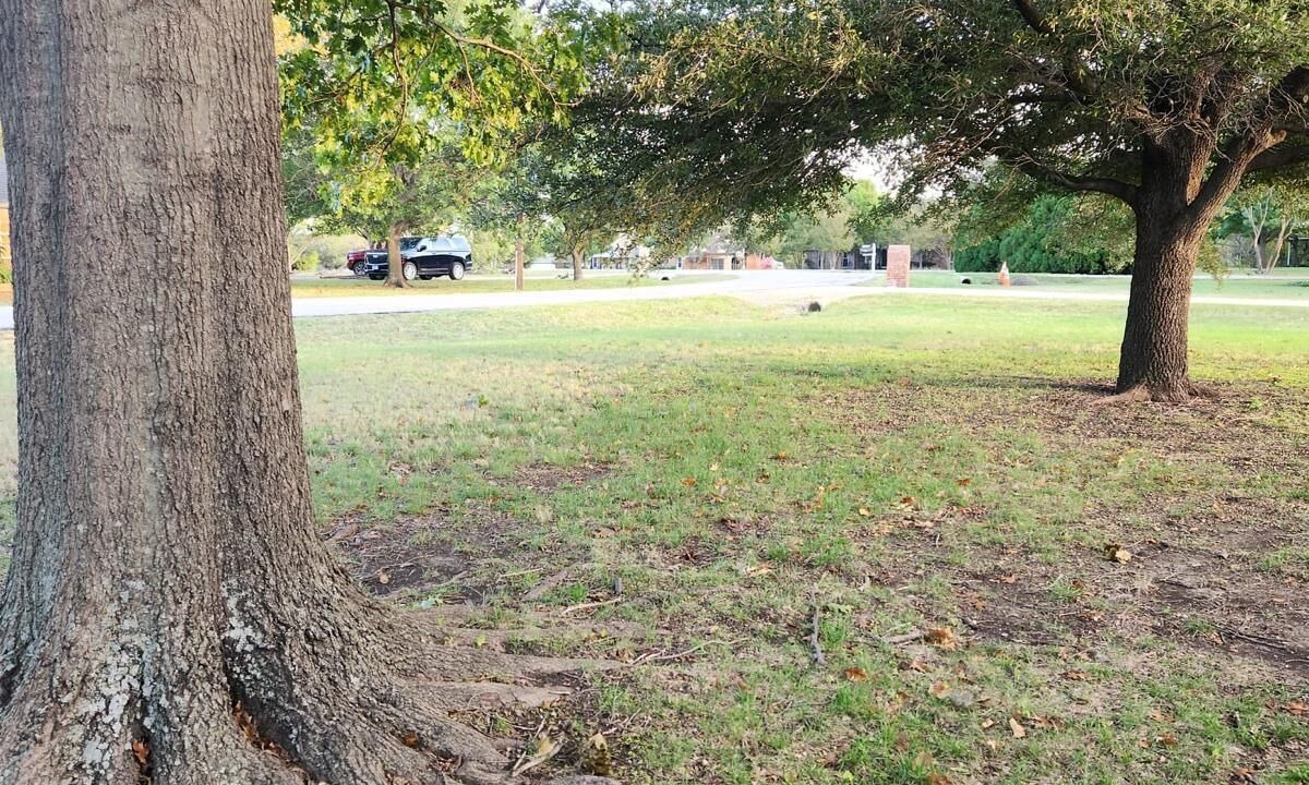 Photo of Outdoor in McKinney
