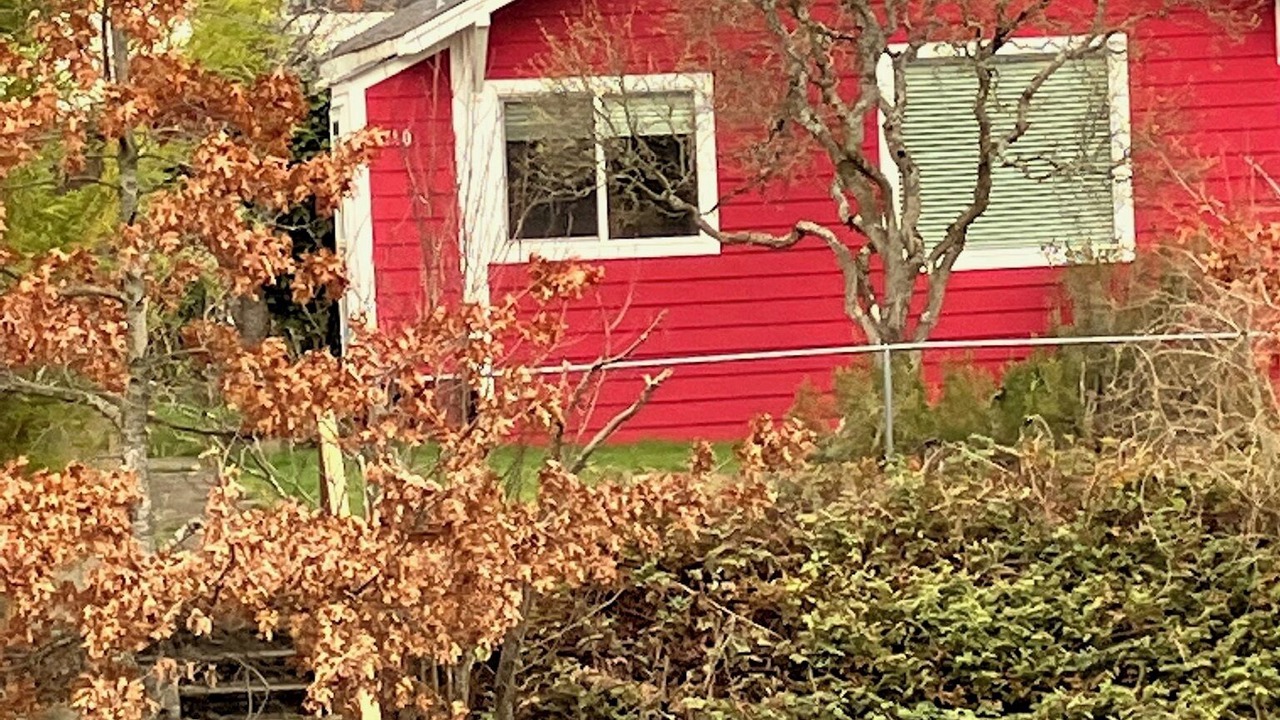 Photo of Outdoor in North Beacon Hill