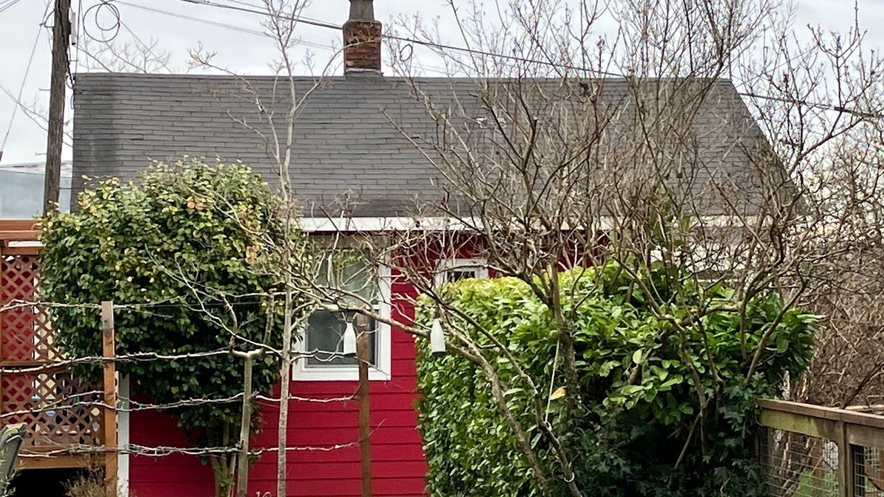 Photo of Outdoor in North Beacon Hill