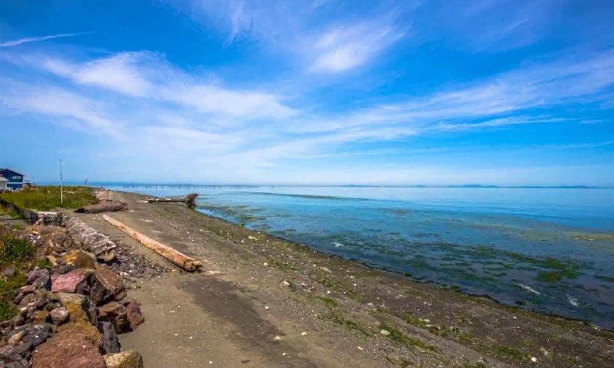 Photo of Others in Sequim