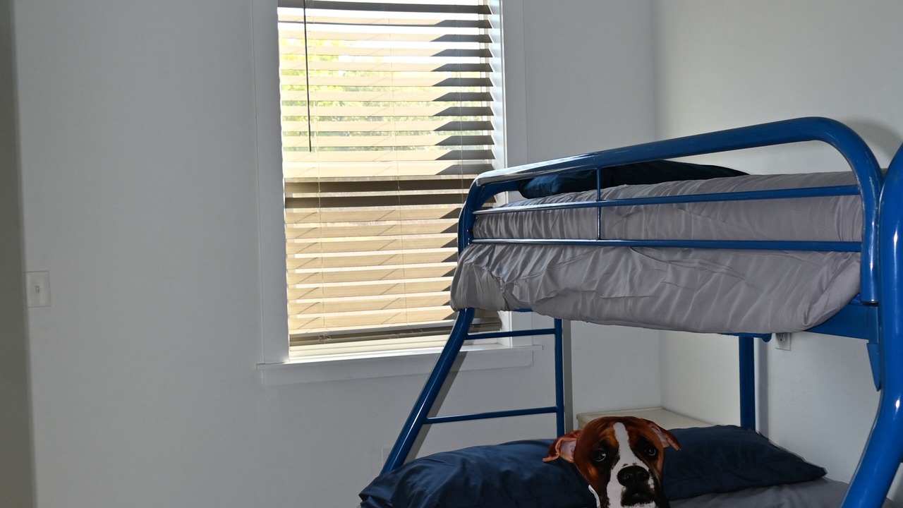 Photo of Bedroom in Council