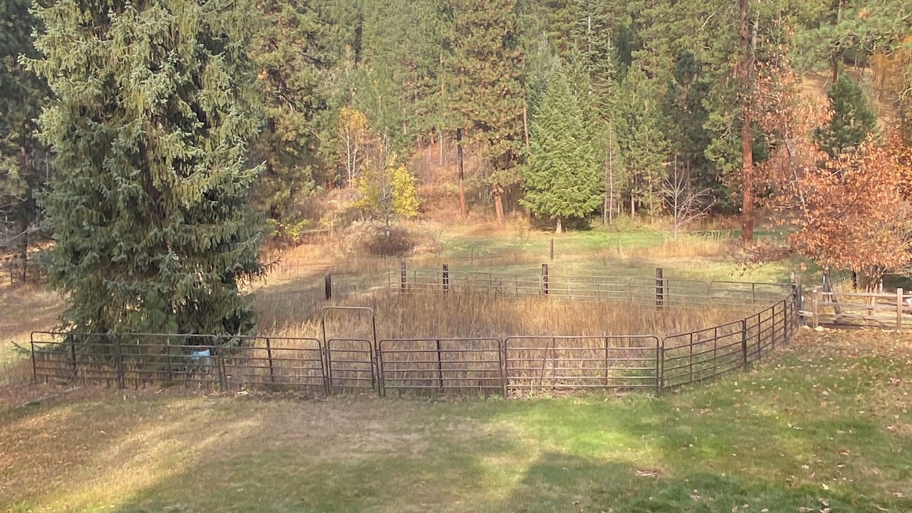 Photo of Outdoor in New Meadows