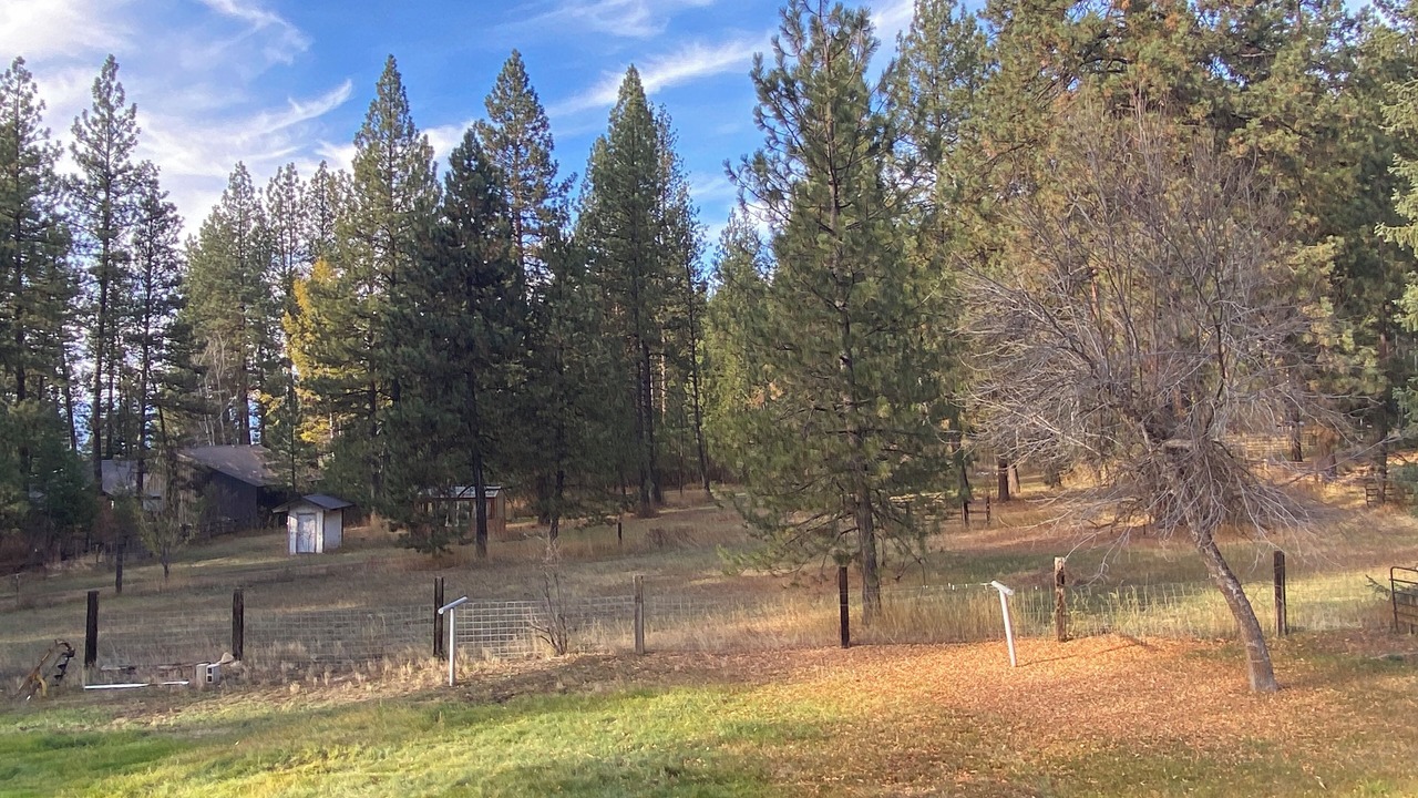 Photo of Others in New Meadows