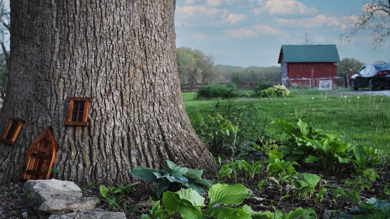 Photo of Outdoor in Winterset