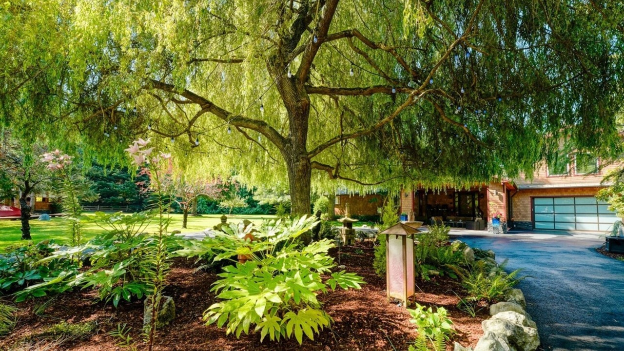 Photo of Outdoor in Deer Harbor