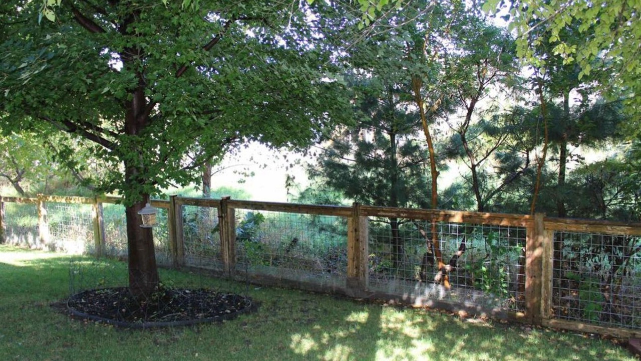 Photo of Outdoor in Lincoln