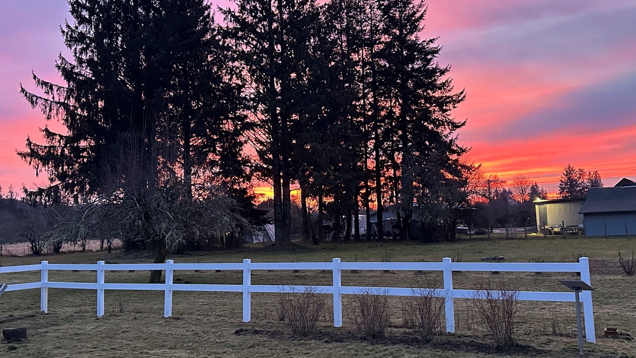 Photo of Outdoor in Forks