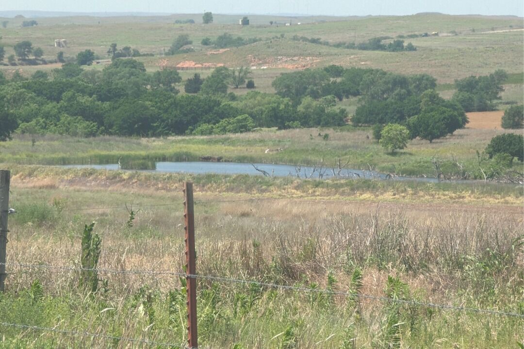Photo of Others in Roger Mills County