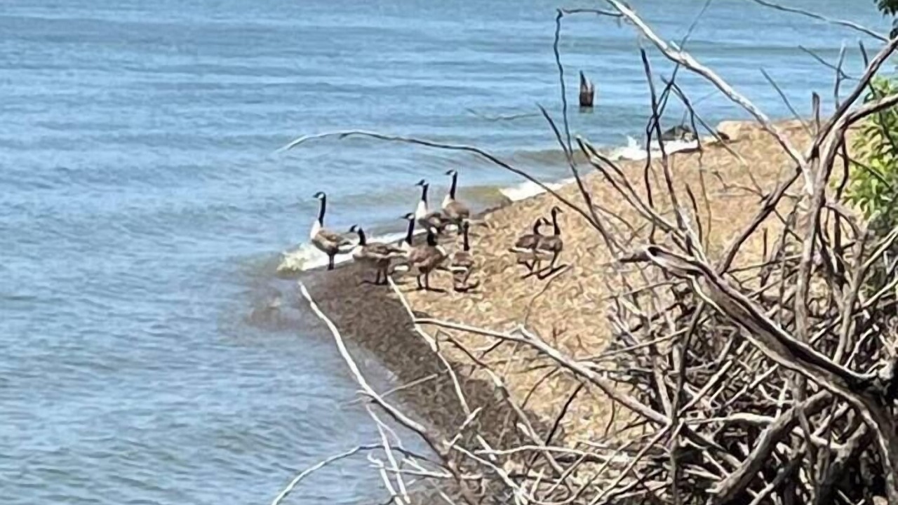 Photo of Others in Eufaula