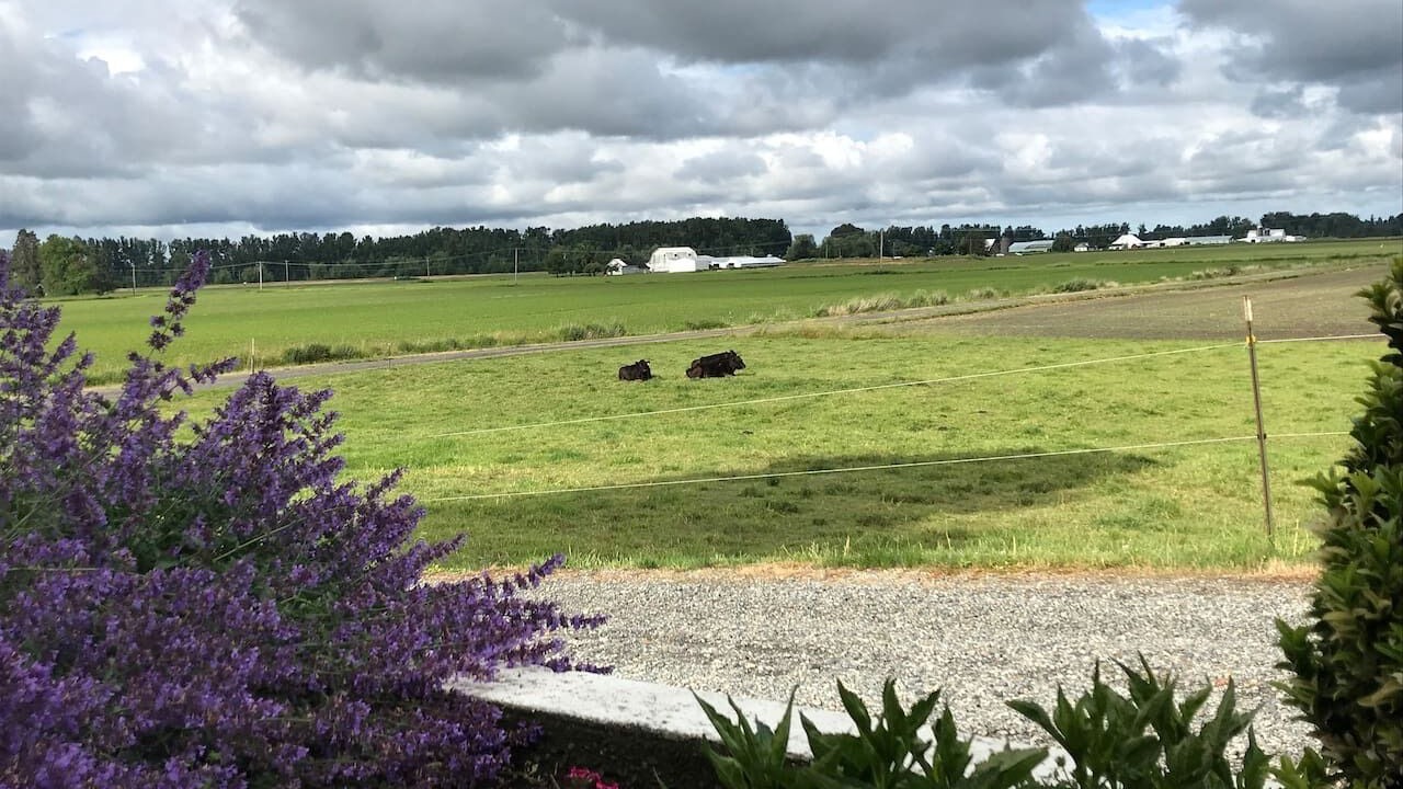 Photo of Outdoor in Lynden