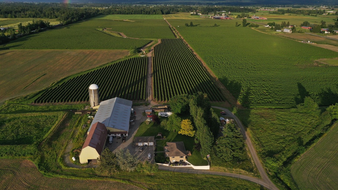 Photo of Others in Lynden