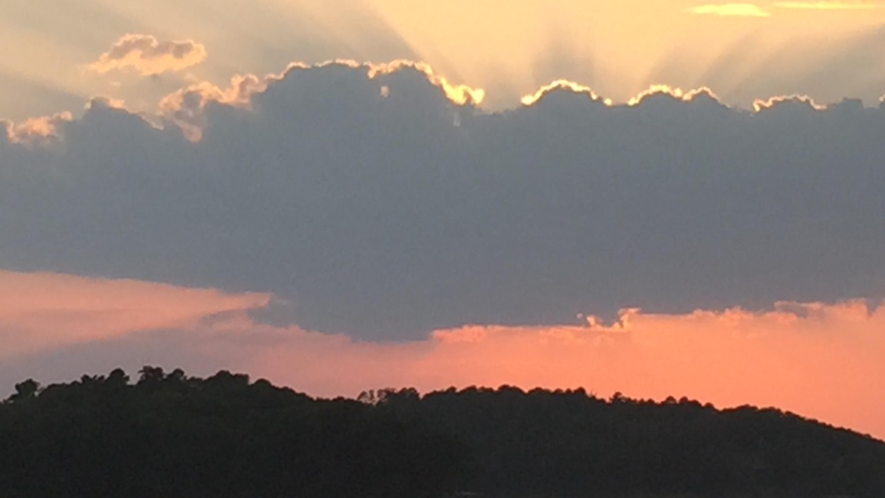 Photo of Others in Lake Hamilton