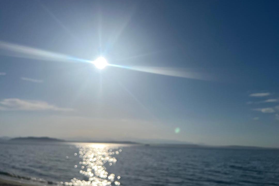 Photo of Others in Alki