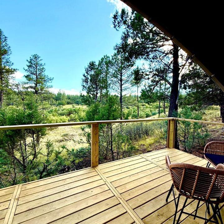 Photo of Patio Balcony in McIntosh