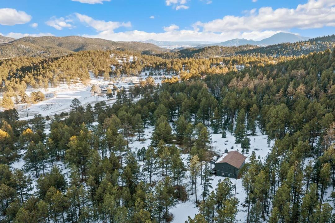 Photo of Others in Pine