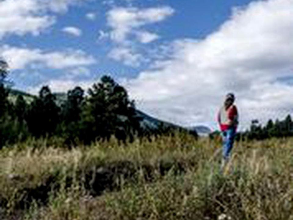 Photo of Others in Pecos