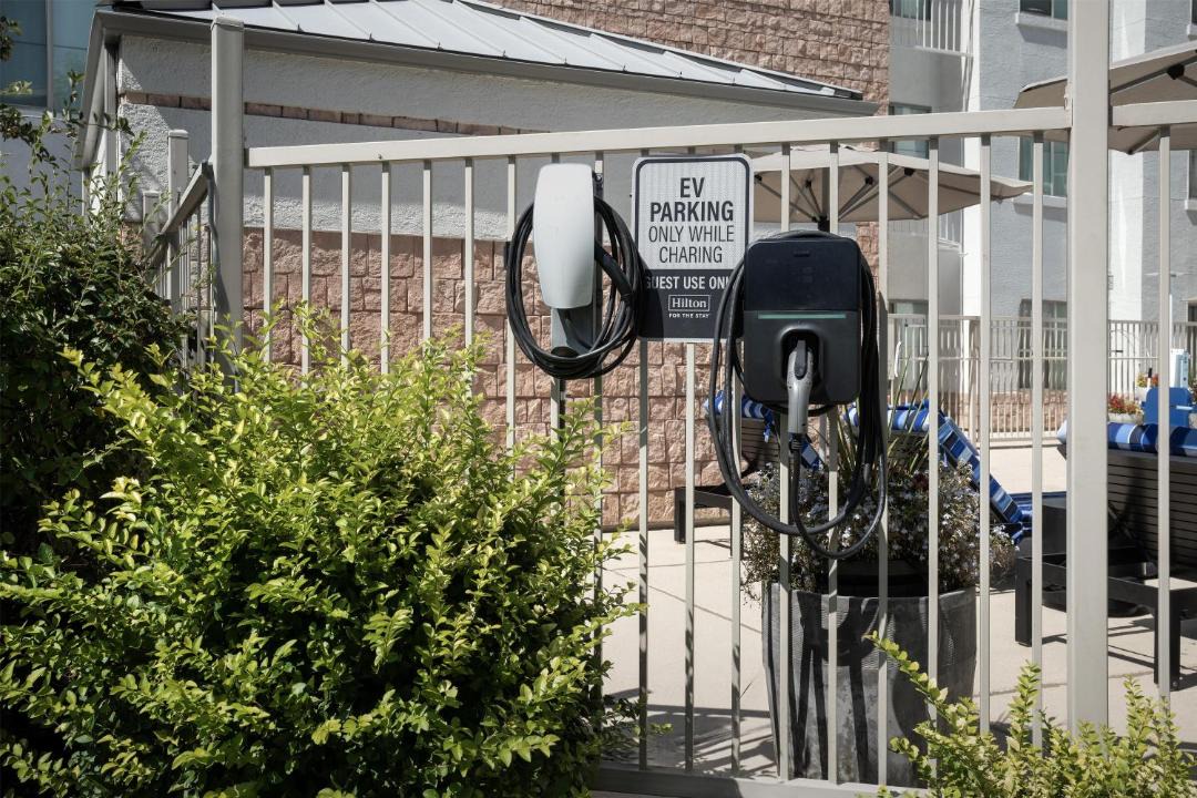 Photo of Others in Hampden South