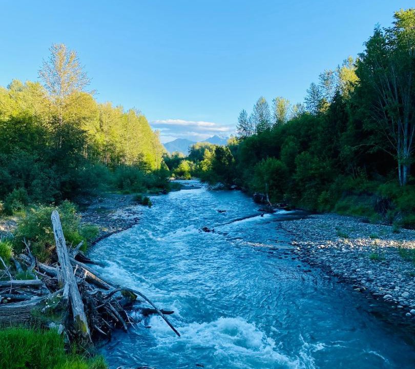 Photo of Others in Sequim