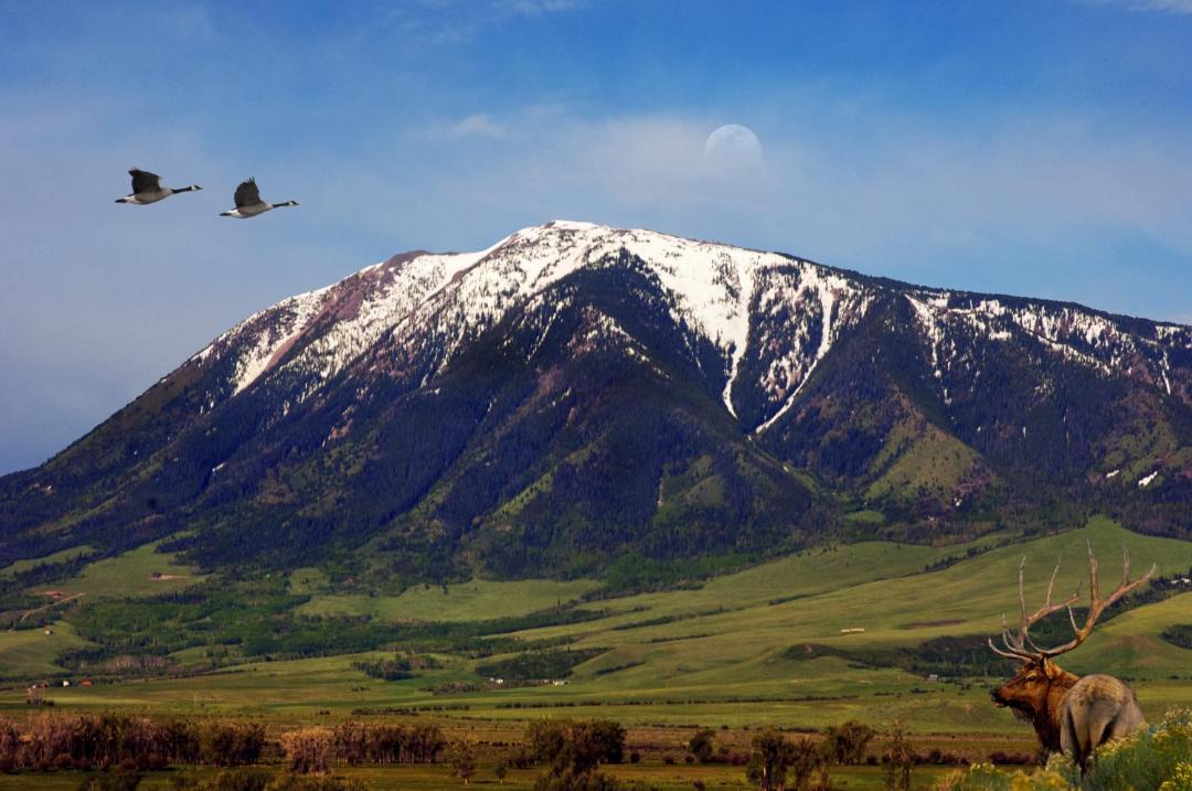 Photo of Others in Elk Mountain