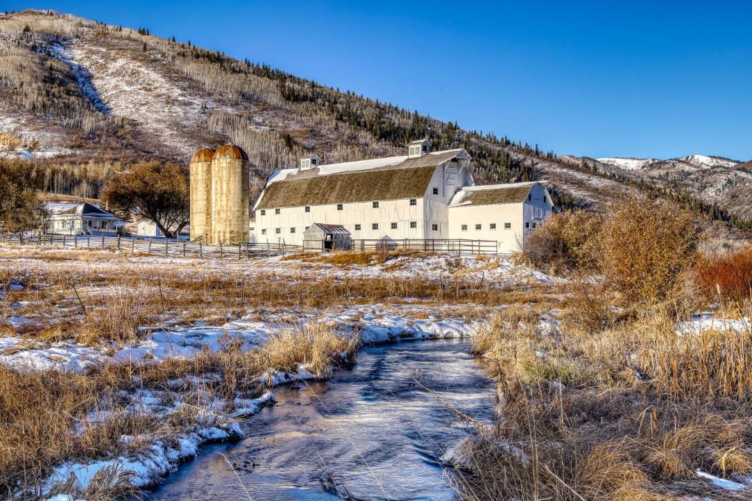 Photo of Buildings in North Park City