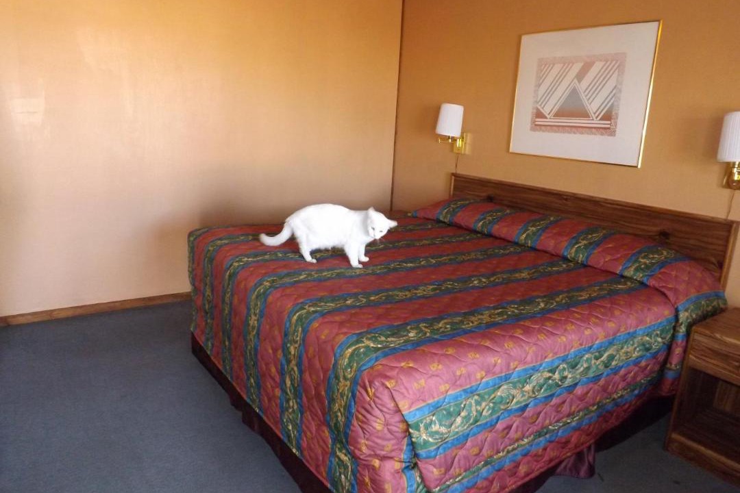 Photo of Others in Tucumcari