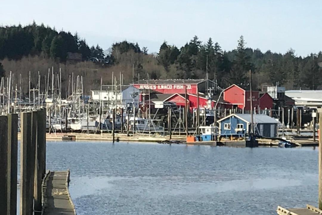 Photo of Others in Ilwaco