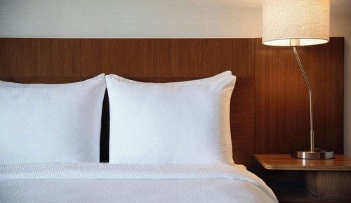 Room, 1 King Bed
