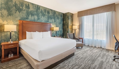 Room, 1 King Bed, Accessible (Upper Floor, Tub)