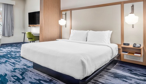 Suite, 1 King Bed with Sofa bed