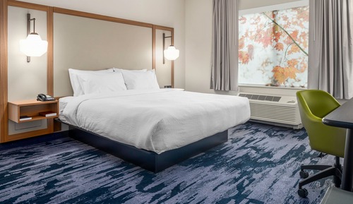 Room, 1 King Bed