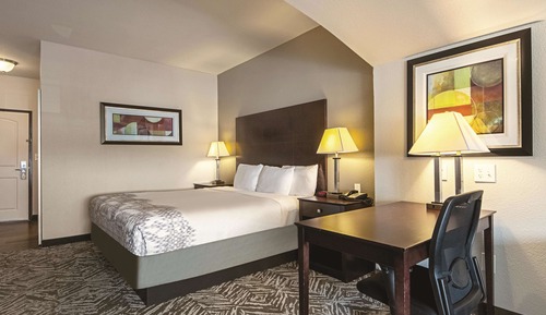 Room, 1 King Bed, Non Smoking (Executive King)