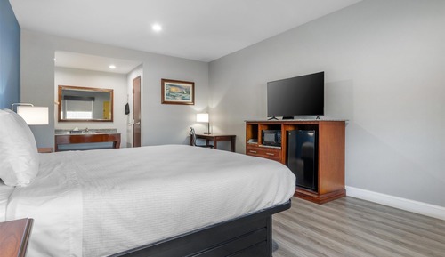 Standard Room, 1 King Bed, Non Smoking, Refrigerator & Microwave