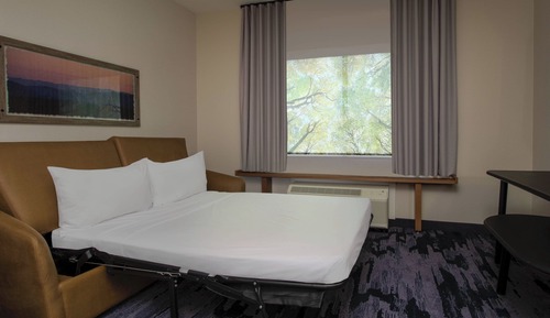 Studio, 1 King Bed with Sofa bed